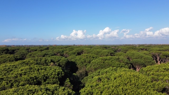 La villa romana di Procoio